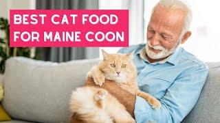 The 5 Best Cat Foods for Maine Coons in 2022