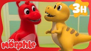 Dino Morphle Might Make A New Friend | Morphle Dinosaurs | Dinosaurs for Kids  Cartoons for Kids