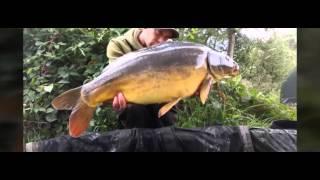 My carp fishing 2015