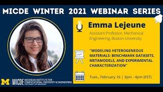 Modeling Heterogeneous Materials: Benchmark Datasets, Metamodels, and Experimental Characterization