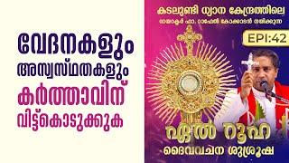 വേദനകളും അസ്വസ്ഥതകളും കർത്താവിന് വിട്ട്കൊടുക്കുക | El Ruha 42 | Fr Raphael Kokkadan | ShalomTV