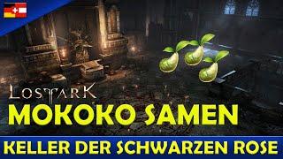 Lost Ark - Mokoko im Keller der schwarzen Rose:  wie ihr die Zivilisten verschont