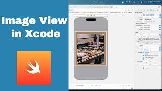 How to add IMAGES (Swift 5) | Xcode PhotoFrame App | 2023