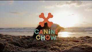 Canine Chow Company Introduction