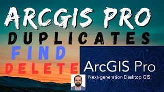 ArcGIS Pro FIND DELETE DUPLICATES