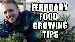 Can you grow food in February? A normal February gardening day.