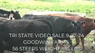 TRI STATE VIDEO SALE 9-27-24 AT 1PM