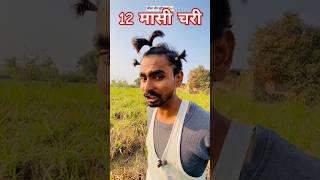 12 मासी चरी || #comedy #funny #shorts #comedy #video #chutiyacomedyvideo #chutiya  #kachra 