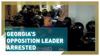 Georgian police arrest opposition leader Nika Melia