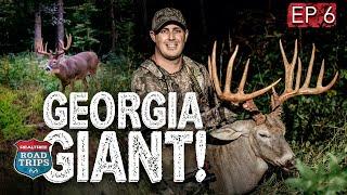 189" Georgia Buck | Biggest Whitetail Ever from Realtree Farms  | Realtree Road Trips