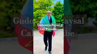 Gudoomiyaha ahna Murashaxa Madaxweyne ee xisbiga UCID Eng Faysal Cali Waraabe #ucid #like #share