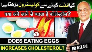 Does Eating Eggs Increases Cholesterol? | کیا انڈے کھانے سے کولیسٹرول بڑھتا یے؟ | अंडे | drjeelani