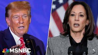 'They really had no playbook': How support for Harris has left Trump campaign 'flat-footed'