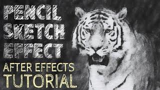 Pencil Sketch Effect Tutorial (Turn Footage to Animated Drawing) - After Effects