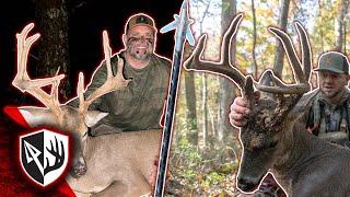 Two Mature Bucks Hit Their Last Scrape!