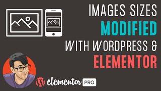 Getting your Image Sizes right with Wordpress and Elementor