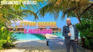 Стрим казино онлайн. С мальдив сейчас прямой эфир - LudoSpace стрим