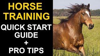 Quick start guide to horse training + pro tips & tricks - Black Desert Online Gameplay