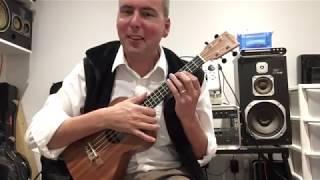 Ashbury AU15 Tenor Ukulele Customer's Review