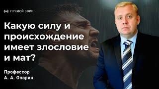 Какую силу и происхождение имеет злословие и мат? | Алексей Опарин