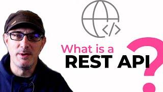 What is a REST API?