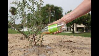 Desert Control & Goumbook Give Ghaf Tree Planting   Executive Leadership Team Building