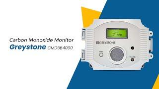 Portable carbon monoxide detector | CO2 Sensor | Greystone CMD5B4000 | Instrukart