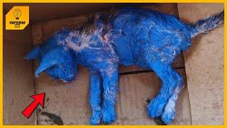 They Painted Her Blue For Fun Then Discarded Her Crying In The Middle Of The Rain.