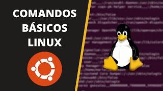  Curso de LINUX | COMANDOS Básicos para Navegar desde el TERMINAL de Linux 
