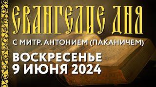 Толкование Евангелия с митрополитом Антонием (Паканичем). Воскресенье, 9 июня 2024 года.