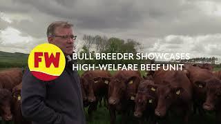 Bull breeder showcases high-welfare beef unit