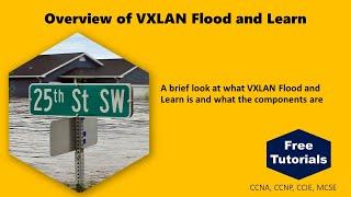 Overview of VXLAN Flood and Learn