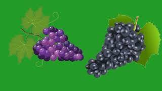 Green Screen Cartoon grapes का  video 