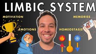 The Limbic System - Motivation, Emotions, Memories, and Drives