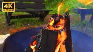 Camping Fireplace in the Forest 4KCrackling Fire Sounds for Relaxation. Fireplace Burning