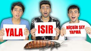 ISIR,YALA VEYA HİÇBİR ŞEY YAPMA CHALLENGE ! 