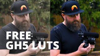 FREE GH5 LUT PACK // GH5 Cinematic LUTS for the NATURAL COLOR Profile // LUMIX GH5 Color Grading