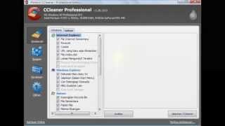 CCleaner Professional and Business Edition v4.02 Download