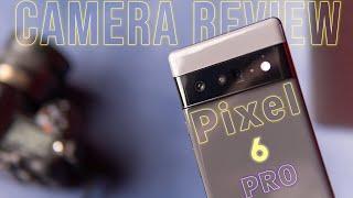 Google Pixel 6 Pro Camera Review || Tips & Tricks