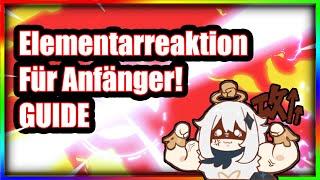 Elementarreaktionen für Anfänger | Guide, Tipps & Tricks | Genshin Impact für Anfänger