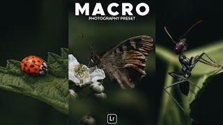 Macro Photography Preset | Lightroom Mobile Preset Free DNG | macro preset | moody green preset