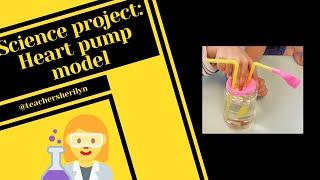 Science project model: How to make a heart pump model - Teacher Sherilyn