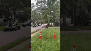 Removing Large Hazardous Tree with Crane | Kenny’s Tree Removal