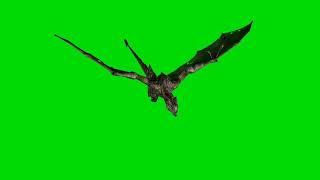 3d dragon ,monster green screen effect for chromakey