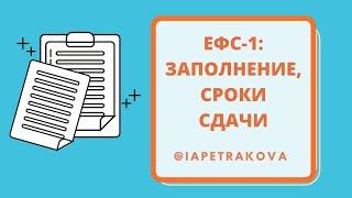 ЕФС-1: как заполнять, какие тонкости, какие сроки подачи новой отчетности?