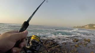 Tinley Manor Fishing -Kzn North Coast