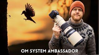 A Year as a Fulltime Wildlife Photographer | Best 2024