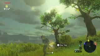 Legend of Zelda: BotW - The three trees korok puzzle