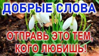 Нам Добрые Слова Нужны, Как Хлеб! Поэзия о главном. Стихотворение для Вас и видео красивые цветы