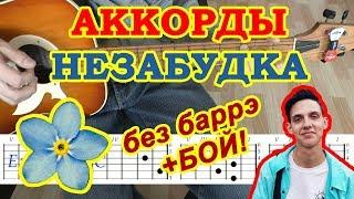 Незабудка Аккорды  Тима Белорусских  Разбор песни на гитаре  Гитарный Бой